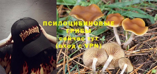 мет Абаза